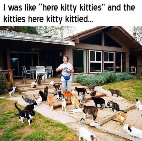 here kitti kitti.jpg